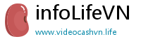 infoLifeVN