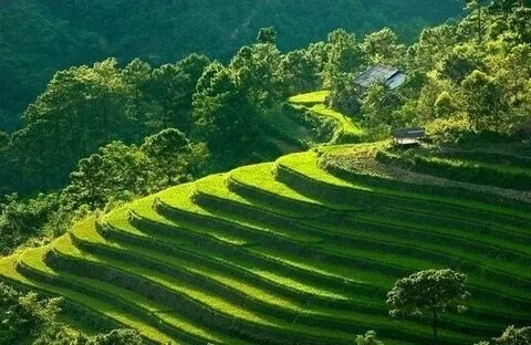 Hotspot Matrix và Cửa hàng không nhận chuyển khoản để 