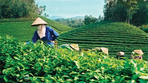 Chấm điểm loạt “green flags” - Cảm hứng video marketing từ Hotspot Matrix_Video ngắn trên Instagram Reels