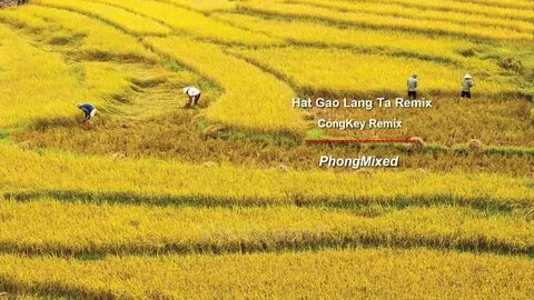 Từ 