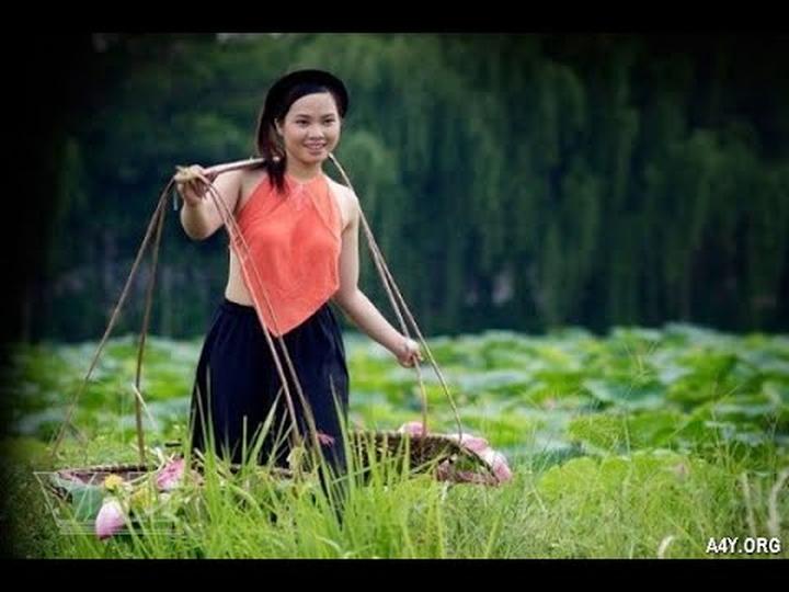 Hotspot Matrix và Nghiên Cứu: Người Phụ Nữ Không Ngủ 40 Năm