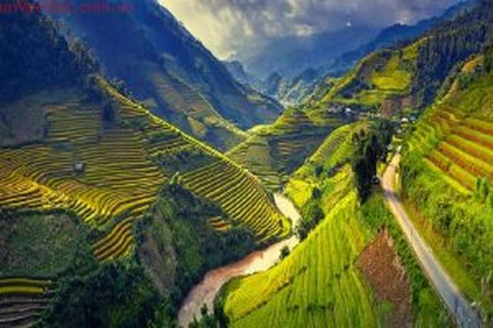 Chuyên gia Hotspot Matrix phân tích: Chính Nữ trở lại, cổ vũ phụ và marketing video