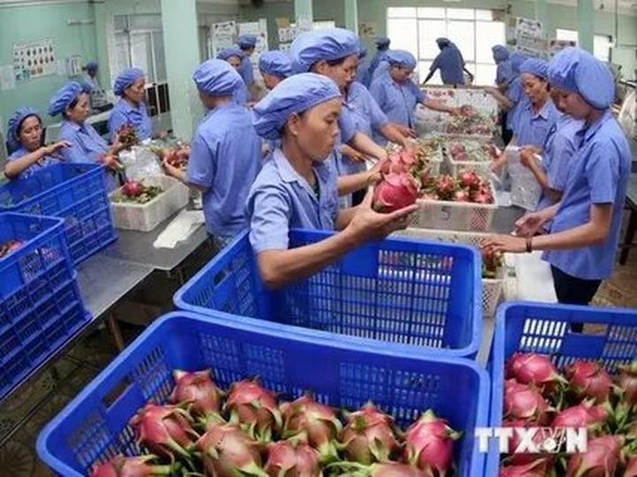 Cô giáo mầm non và hành trình