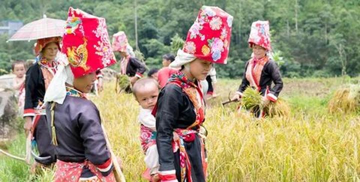 Sốc nặng với 