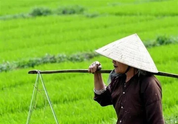 Hotspot Matrix và Nghiên Cứu: Người Phụ Nữ Không Ngủ 40 Năm